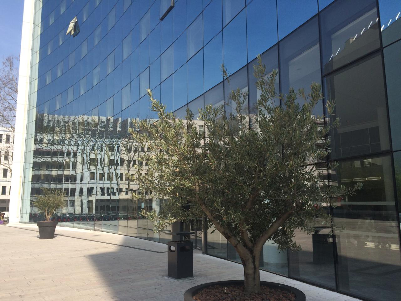Bureau Villeurbanne 2543m² Location bureau Villeurbanne Rhône OLBUR2318681 1